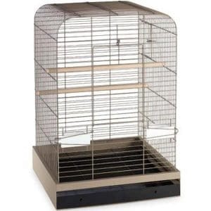 Flat Top Bird Cage for Medium Parrots by Prevue 124 Putty