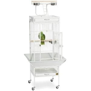 Play Top Bird Cage for Small Parrots by Prevue 3151 White