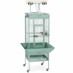 Play Top Bird Cage for Small Parrots by Prevue 3151 Sage