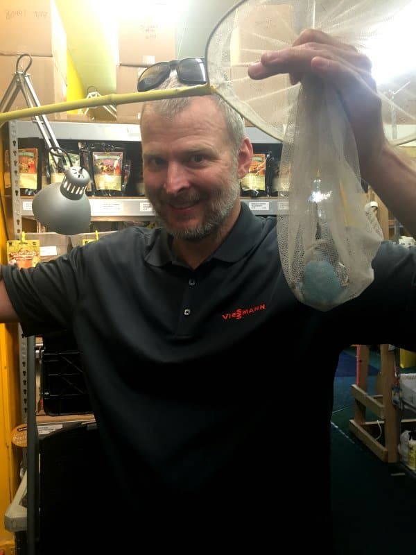 man with rescued blue budgie in net