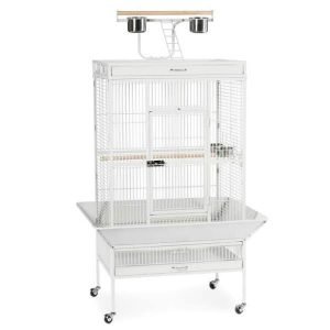 Play Top Bird Cage for Medium Parrots by Prevue 3153 White