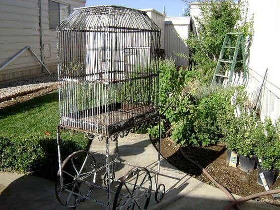 Huge rolling birds cage
