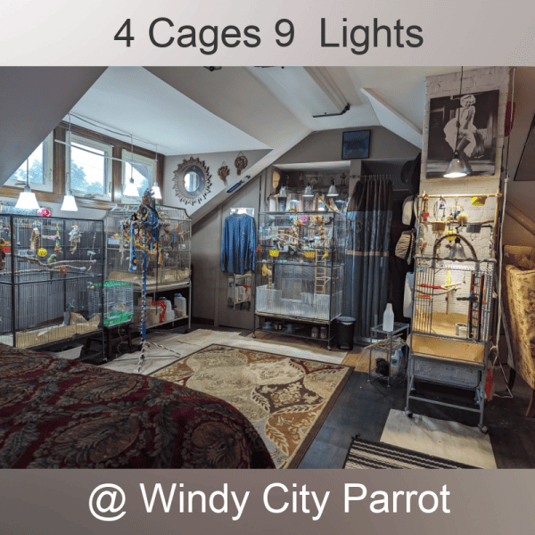 4 birdcages with 9 lights overhead