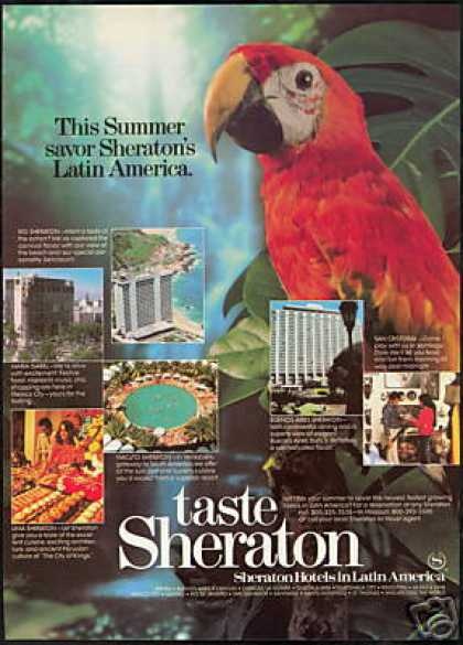 Sheraton hotel commercial with a parrot