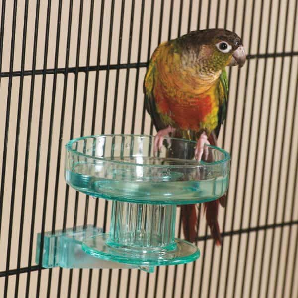 Bird bath exterior cage mount by lixit for small to medium birds