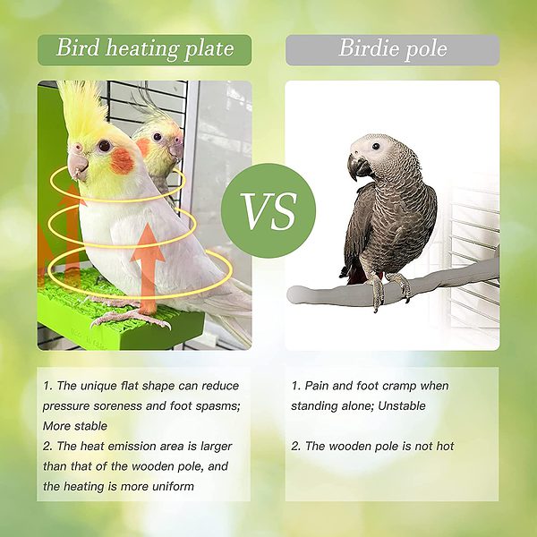 Gifank Birdcage Heater for Small Birds to Snuggle Up 12v 4