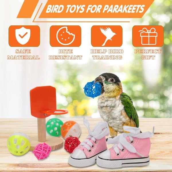 New Bird Products
