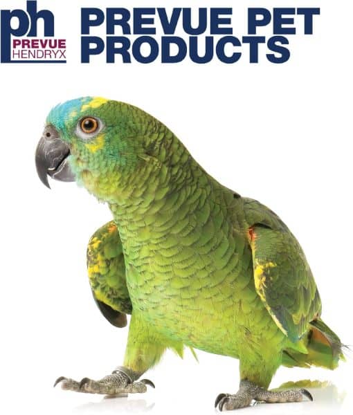 Prevue pet logo blue front amazon parrot