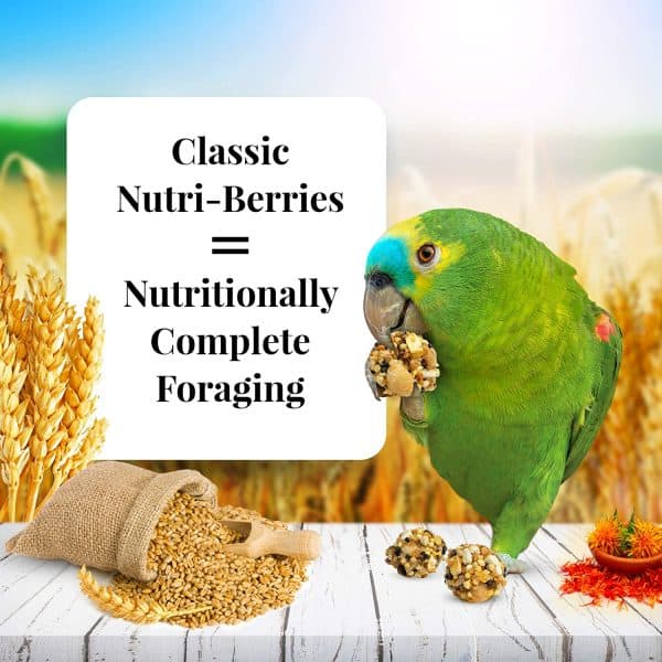 Lafebers Gourmet Tropical Fruit Nutri-berries Parrot