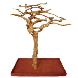 Java Wood Parrot Play Stand Tree by AE Small Birds 200S