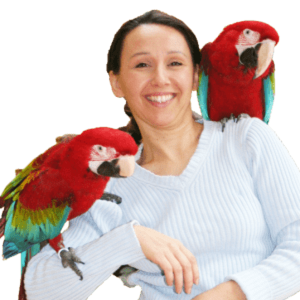 Meet Your Next Parrot Problem Solver And She Has A Free Gift For You