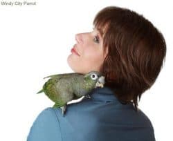 woman with pionus parrot on shoulder