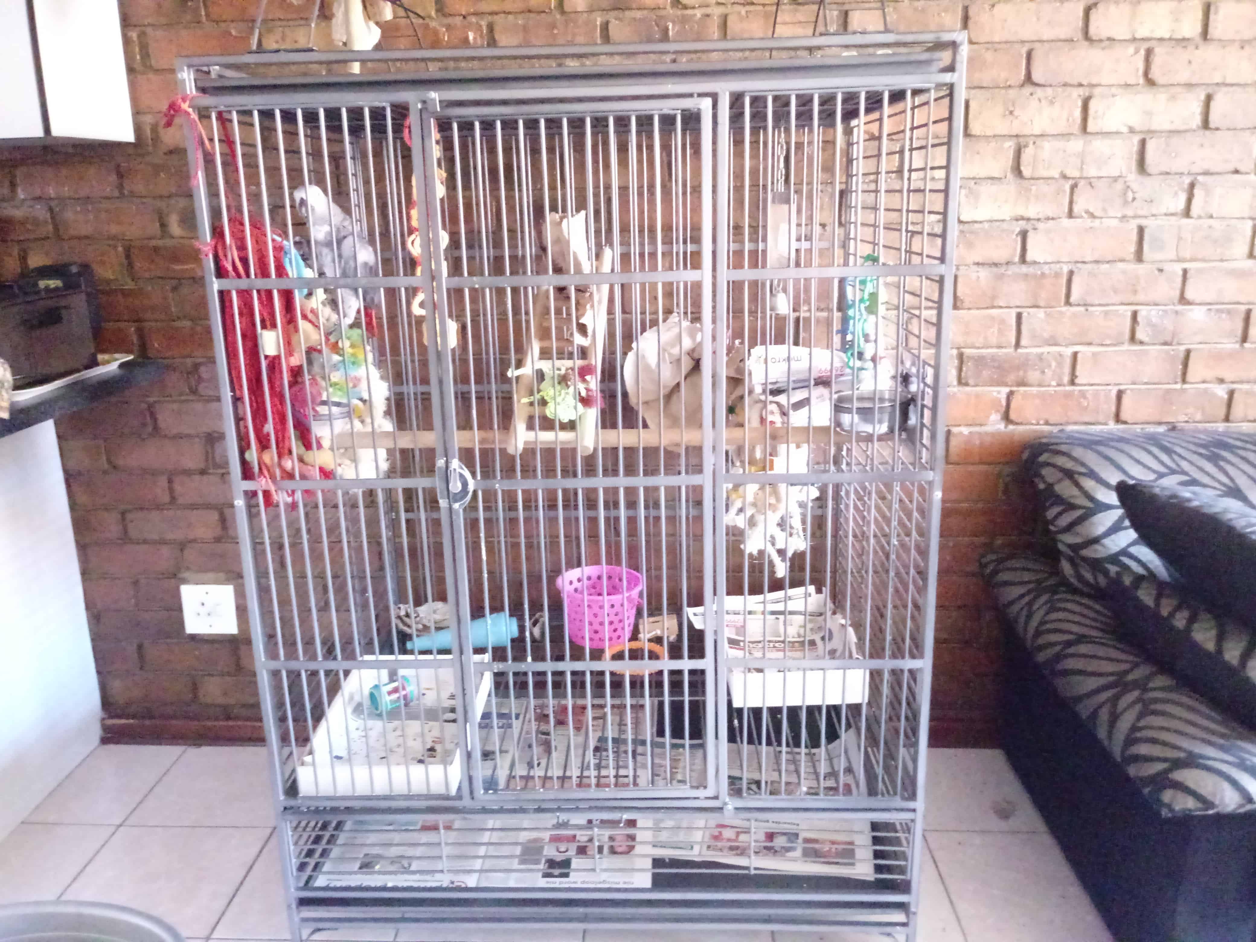 African grey parrot cage in the middle of a room