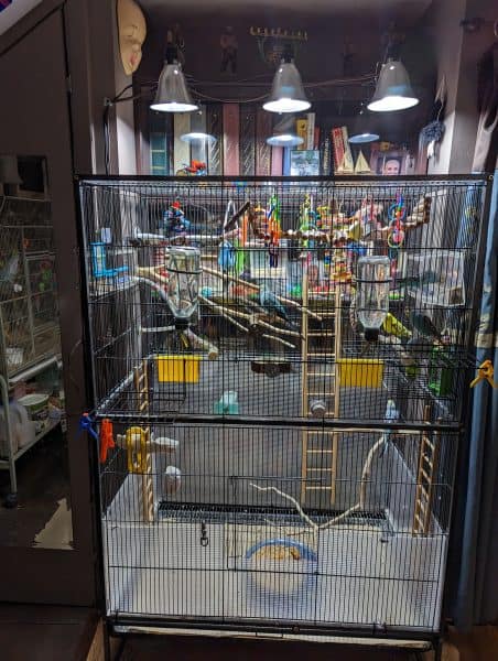 Budgie aviary Bookcase sealed by plexiglass against feathers, dander and seed.