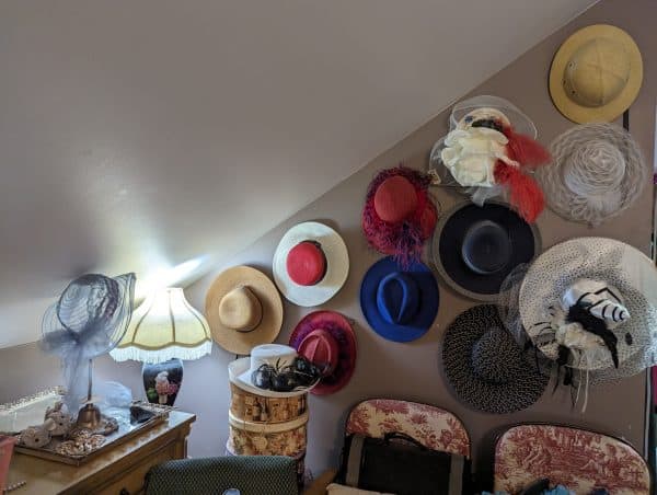 Wall with many hats including witches' hats -What Are Birds Thinking Part - 4 - Budgies