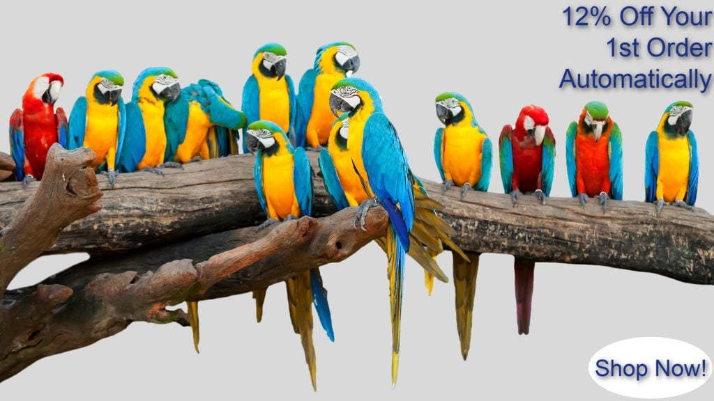 12 large macaw parrots perched on 2 large tree limbs