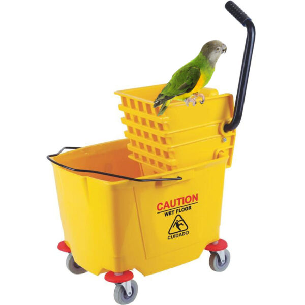 What Is A Bird Safe Floor Cleaner To Use In The Home?