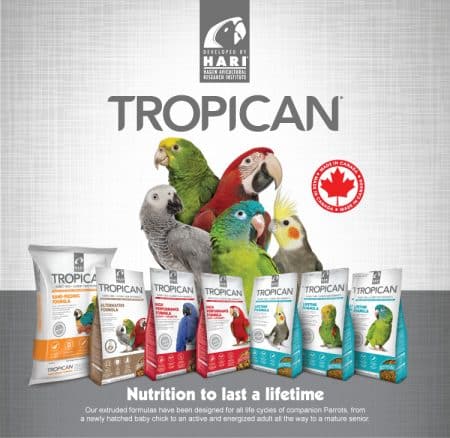 Tropican Pelleted Bird Food and the Competition