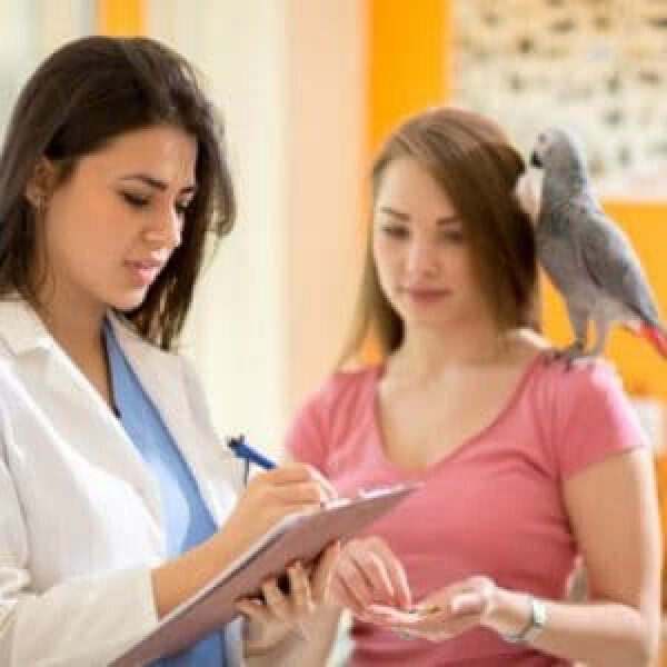 Using Weight to Diagnose Bird Illness