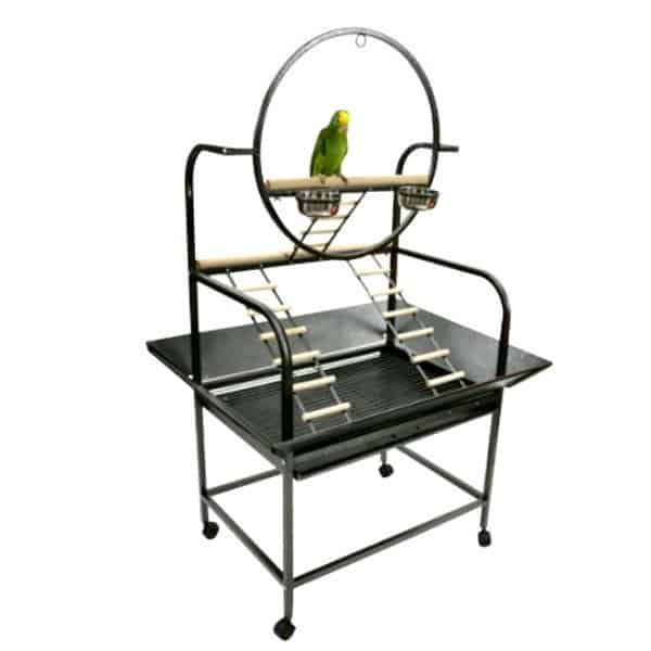 How Do I Get My Bird to Accept a New Playstand?