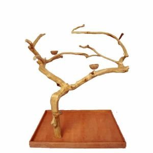 Java Wood Parrot Play Stand Tree by AE Large Birds 200L