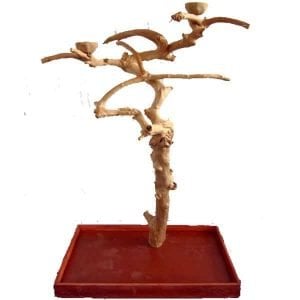 Java Wood Parrot Play Stand Tree Boxed by AE Medium Birds 250M