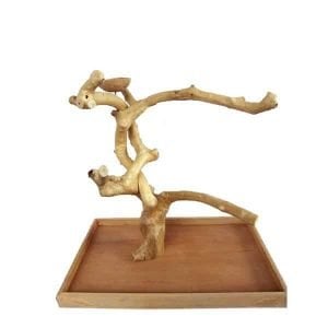 Java Wood Parrot Play Stand Tree Table Top by AE Large 500L