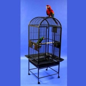 Bird Cage Assembly Question AE Dome Top