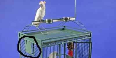 Why bird cages have breeder doors