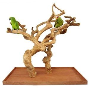 Java Wood Parrot Play Stand Tree Double Base by AE Large 400L