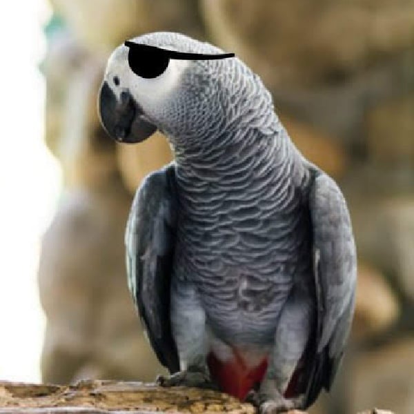 Would CBD Oil Help A One Eyed African Grey?