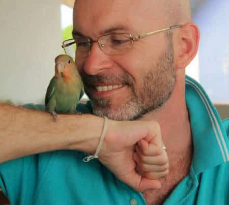 How Would I Determine the Level of Pet Birds’ Happiness?
