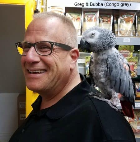 windy city parrot customer greg with african grey bubba