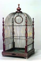 A Brief History of Bird Cages Through Time - Windy City Parrot