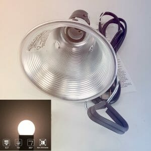 Night Fright Night Light Clamp Light With Bulb