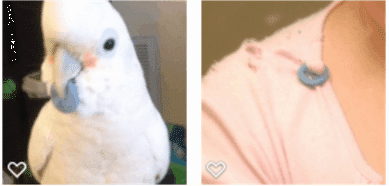 button-cockatoo-sweater
