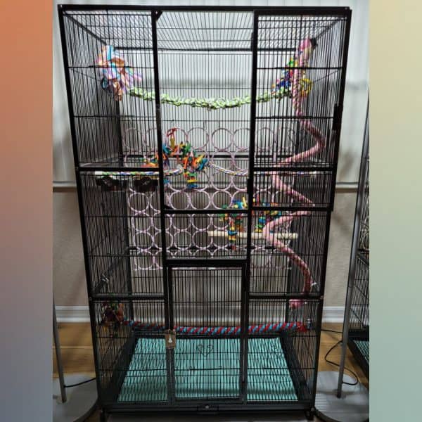   Your toys, treats, and perch setup are nice. in your birdcage