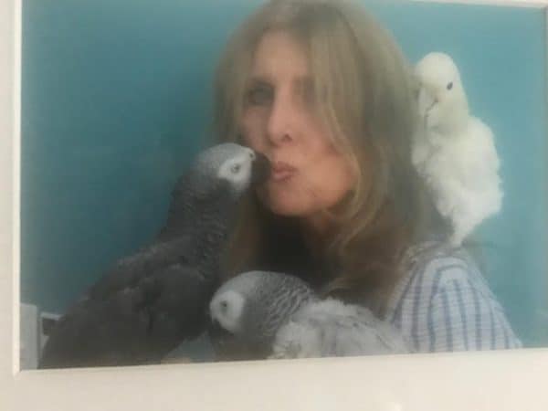 Woman with 2 African grey parrots and a cockatoo