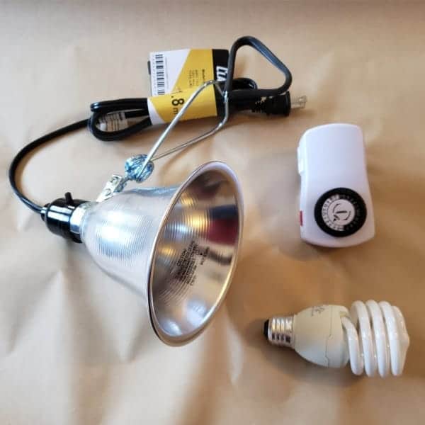 clamp light full spectrum bulb timer