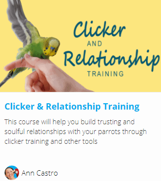 clicker and relationship training ann castro