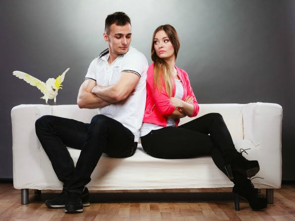 Man and woman arguing on couch cockatoo in background