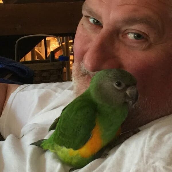 How Windy City Parrot Looks At Our Bird’s Holistically