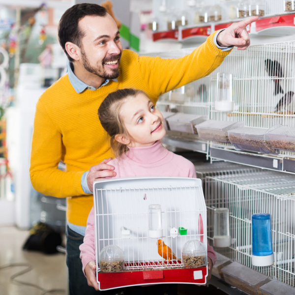 What Should a 1st Time Bird Owner Know Before They Buy?