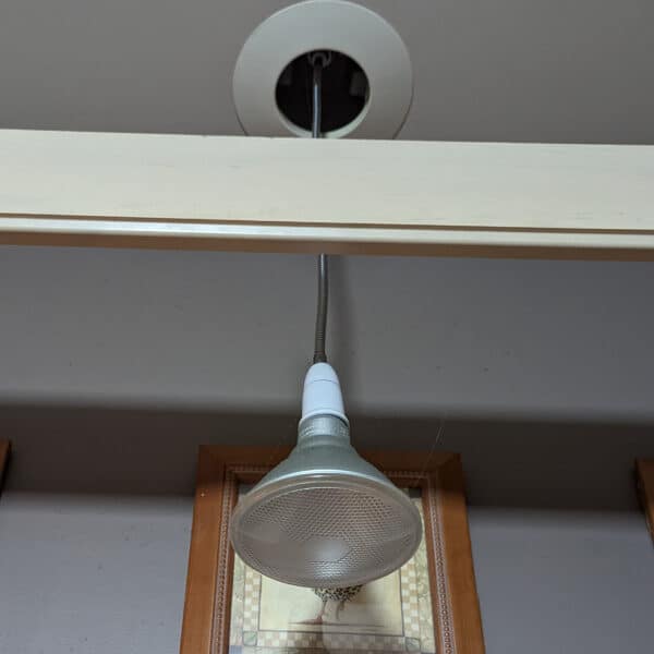 Flood light hanger extension