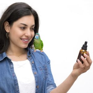 Are Essential Oils Safe to Use Around Parrots?