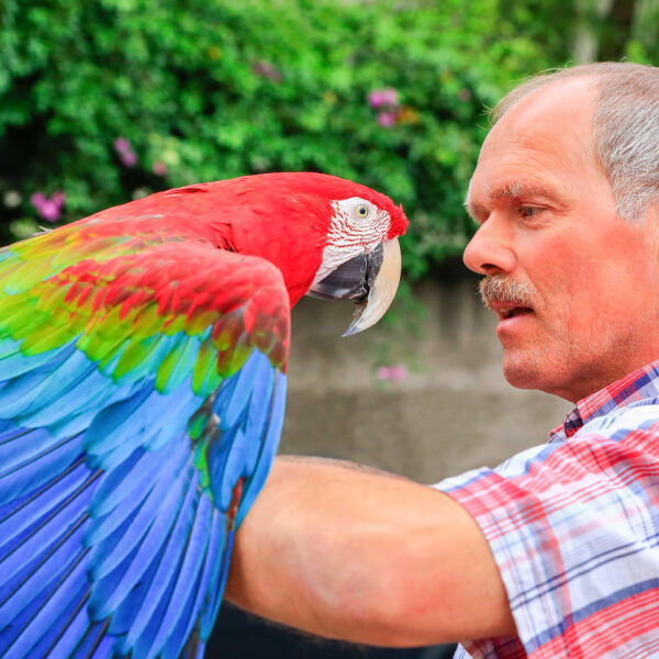 Can You Self Medicate Your Bird – What Would You Need?