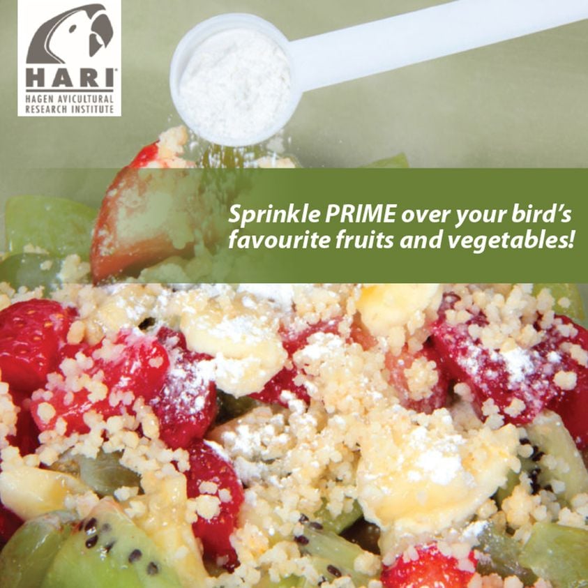 Hagen Prime Vitamin Supplement for Bird Seed
