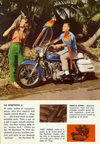 Vintage harly Davidson motorcycle ad with 3 macaw parrots 