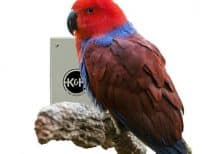 heated-snuggle-up-large-and-cage-panel-warming-medium-large-birds-8