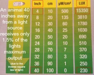 zoomed bulb box illustration of the inverse square law of light